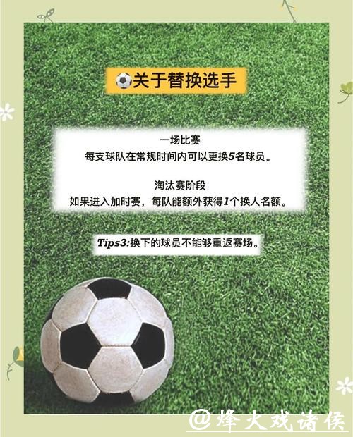 深入解析世界杯球队表现与竞赛策略
